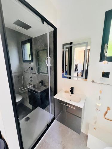 Un baño blanco con lavabo y ducha en L etoile au cœur de la nature, en Rosselange