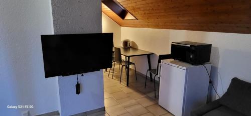 Grand Studio Centre Geneve