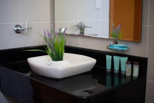 a bathroom with a sink and a plant on a counter at Hotel Albatross in Puerto Ayora