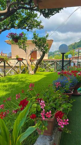 Κήπος έξω από το B&B Paola City