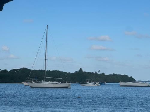 a group of boats in a large body of water at Beachfront Balcony With Marina Views Pool in Fajardo