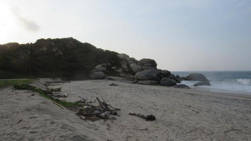 a beach with a pile of logs on the sand at HOSTAL MIRADOR dentro del parque tayrona in El Zaino