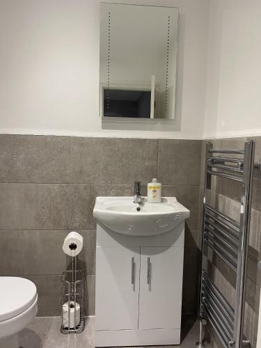 a bathroom with a sink and a toilet and a mirror at Chic Maidstone getaway in Maidstone