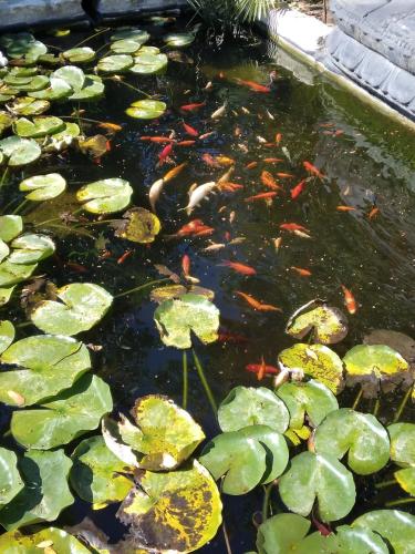 Gambar di galeri bagi Parfums de Monet di Saint-Illiers-le-Bois