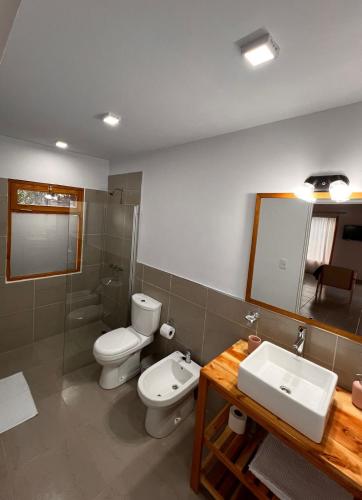 a bathroom with a toilet and a sink and a mirror at Los Robles Patagonia in Esquel