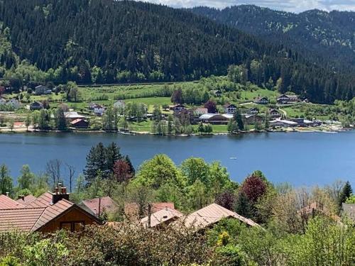 Chalet chaleureux à Gérardmer, vue pistes, 4 pers.