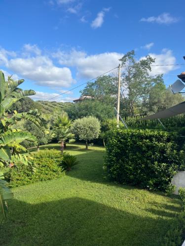 a garden with green grass and trees and bushes at Villa Cocomerara Tas24 in Calimera