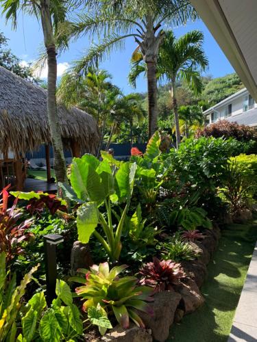 a garden with tropical plants and palm trees at Tiki Ora Lodge - VARUA in Bora Bora