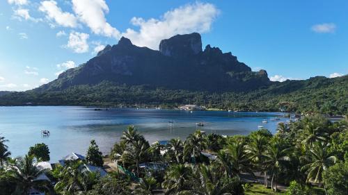 a view of a mountain and a body of water with palm trees at Tiki Ora Lodge - VARUA in Bora Bora