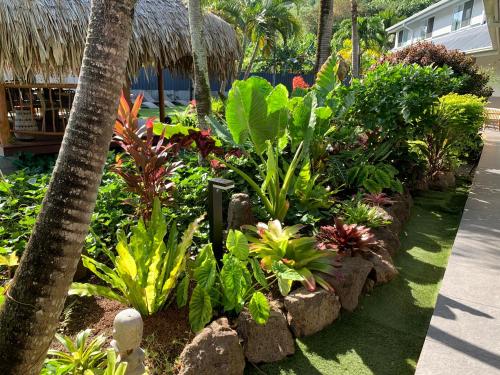 a garden with tropical plants and a palm tree at Tiki Ora Lodge - HURA in Bora Bora