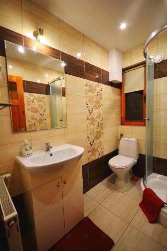 a bathroom with a sink and a toilet and a shower at Apartamenty Willa Anna in Poronin