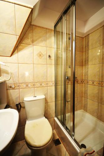a bathroom with a toilet and a shower and a sink at Apartamenty Willa Anna in Poronin