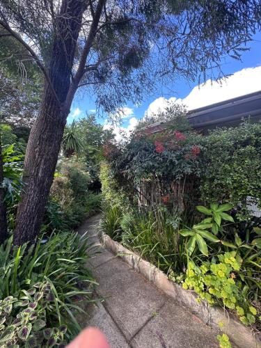 a garden with a tree and plants and a sidewalk at Spacious Queen Room in Comfortable Home - KV7 in Kellyville