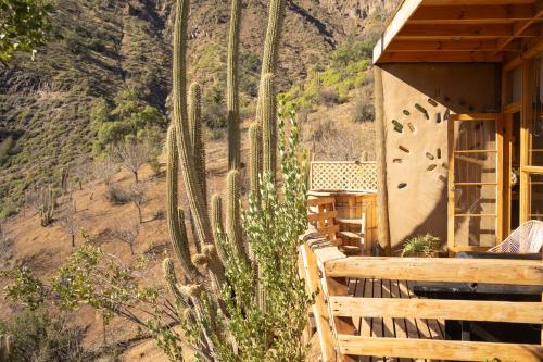 a house with a large cactus next to a mountain at Origen del Maipo Lodge in San José de Maipo
