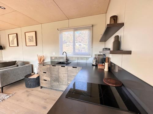 a kitchen with a black counter top in a room at Beaks and Feathers Boutique Accommodation on Stewart Island in Stewart Island