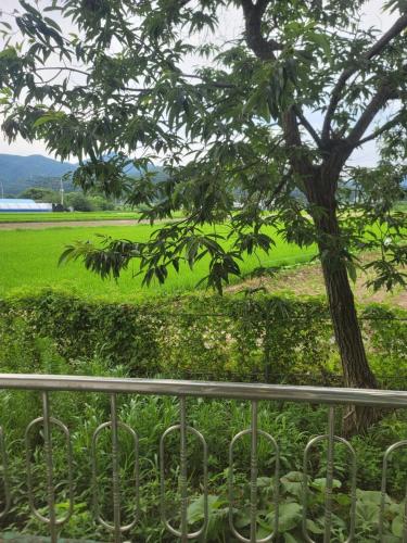 a tree in front of a field with a fence at Jeryeong Forest Pension in Gapyeong