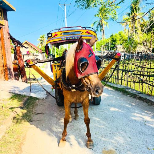 a horse tied to a cart in the street at Namali Villa Gili Trawangan in Gili Trawangan