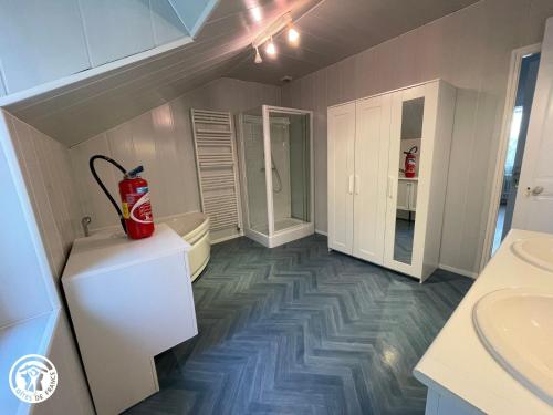 un bagno con un estintore rosso sul pavimento di Maison rénovée proche du Rocher de Cheffois avec Wifi - FR-1-426-587 a Cheffois