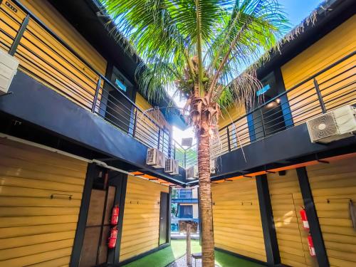 a palm tree standing in front of a building at A Coral Reefs Resort Langkawi by Manhattan Group in Pulau Chupak