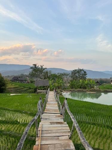 a wooden bridge over a field with a lake at ເຂົ້າໜຽວຟາມສະເຕ-Kao Niaw Farmstay in Luang Prabang