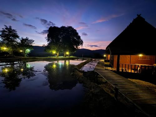 a night view of a pond with a building at ເຂົ້າໜຽວຟາມສະເຕ-Kao Niaw Farmstay in Luang Prabang