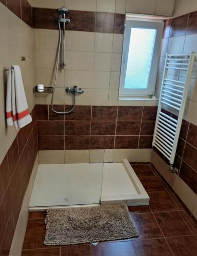 a bathroom with a shower with a tub and a window at Vila Stefana Paltinis in Păltiniş