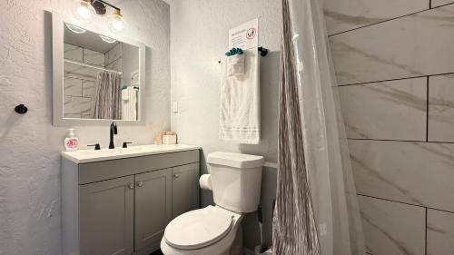 a bathroom with a toilet and a sink and a mirror at Budget-friendly Studio In Okcprivate Entry#20-3 in Oklahoma City