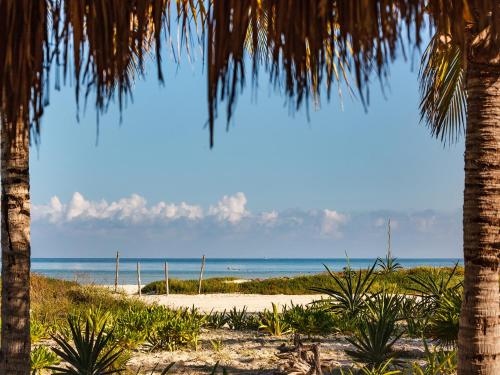 a beach with two palm trees and the ocean at Villas HM Palapas del Mar in Holbox Island