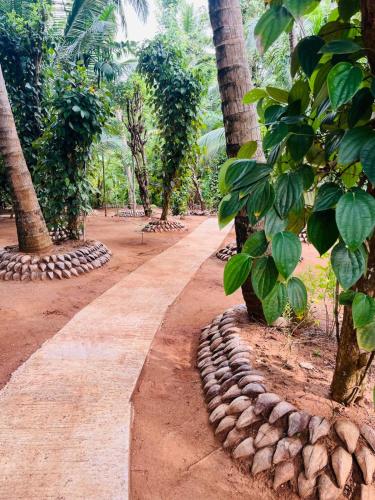 a path in the middle of a forest with palm trees at Udawalawa Eco Lodge in Udawalawe