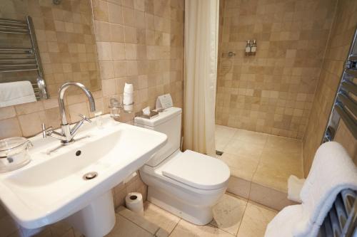 a bathroom with a toilet and a sink and a shower at The Miller of Mansfield in Goring