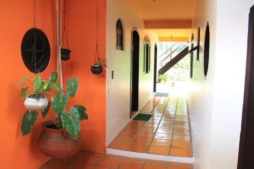 a hallway with an orange wall with a plant in it at Pousada Bob Pai & Bob Filho in Ilha do Mel