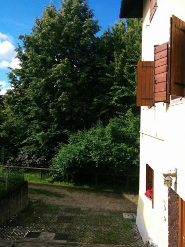a view of a yard with a tree and a building at Casetta next to the Creek Dino Buzzati in Belluno