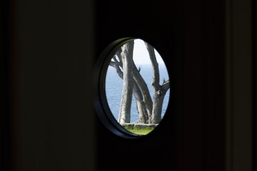 a round window with a tree in the background at waku terrace in Fukui