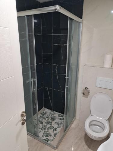 a bathroom with a shower and a toilet at TARA apartman in Pojate