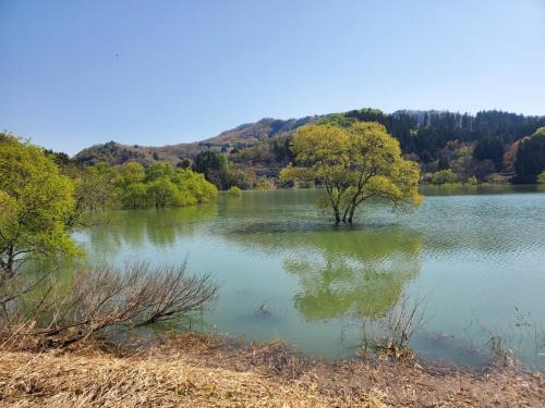 a lake with a tree in the middle of it at Itoya Ryokan in Nanyo