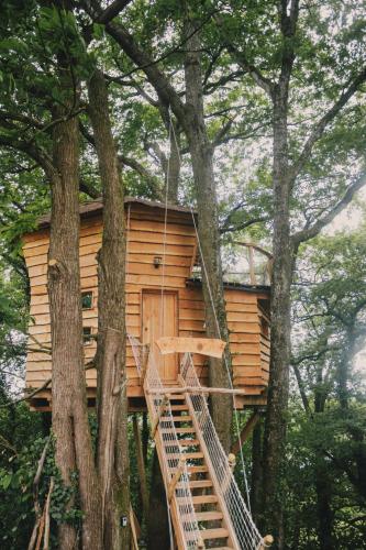 a tree house in the woods with a staircase at La Cabanoun, cabane perchée vue lac in Coudures