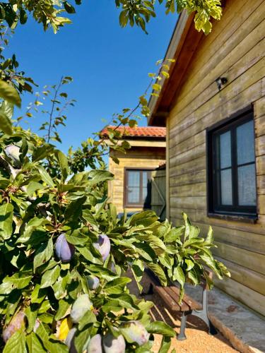 Gallery image of Hotel & Villas - TERIZIS Le Rocher in Bŭlgarevo