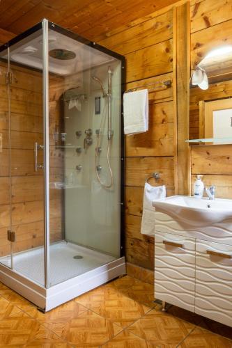 a bathroom with a shower and a sink at Cabana Viilor Dej in Dej