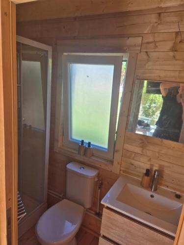 a bathroom with a toilet and a sink and a window at Le Ptit Châlet de Monnet in Monnet-la-Ville