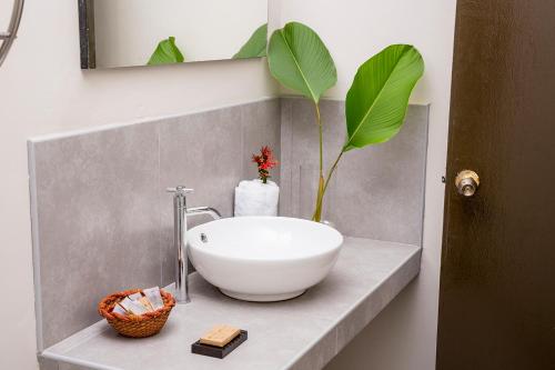 a bathroom with a bowl sink and a plant on a counter at Irapay Amazon Lodge in Padre Cocha
