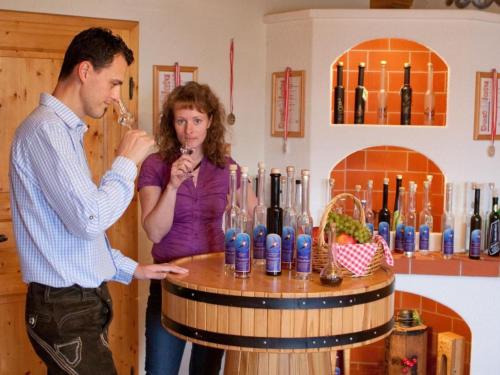 a man and a woman drinking wine at a wine barrel at Apartment in St Stefan im Rosental in Gigging