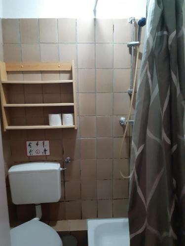 2-Rent Group Hostel Apartments EVE74にあるバスルーム