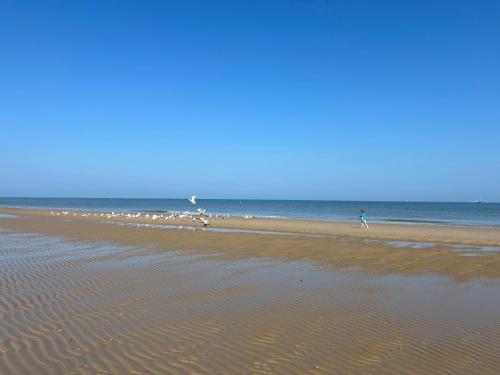 a group of people walking on the beach at Studio Zilte Rust - Zeedijk Middelkerke in Mellet