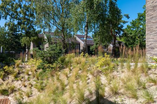 a yard with tall grass in front of a house at Modern Luxury Apartment in Nida I 2BR Apartmen I Terrace I Cᴏʜᴏsᴛ in Nida