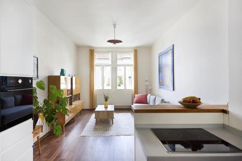 Mama's apartment in Letna