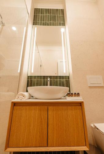 a bathroom with a sink and a mirror at Villa Botar in Cluj-Napoca