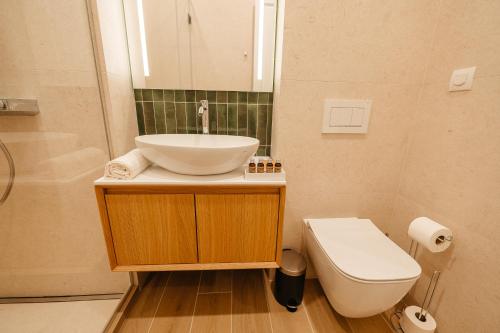 a bathroom with a sink and a toilet and a mirror at Villa Botar in Cluj-Napoca