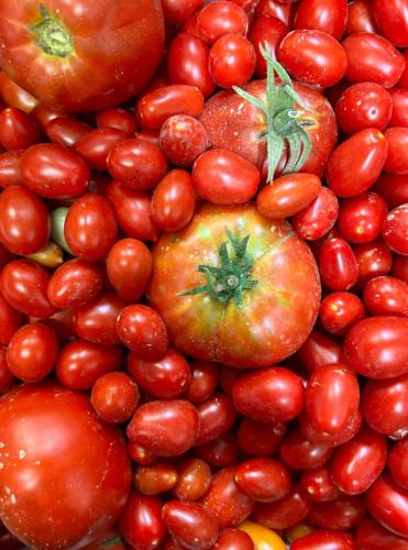 a pile of tomatoes and other fruits and vegetables at CASCINA DOMINA in Gassino Torinese