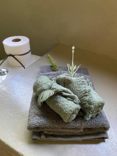 a towel with a plant on it on a counter at Mango House in Lusaka