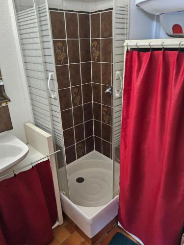 RARE maison du pêcheur en première ligne avec clim في لو باركار: دش مع ستارة دش حمراء في الحمام